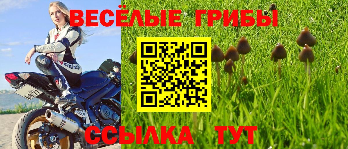 Псилоцибиновые грибы Magic Shrooms  Вход с VPN  Псилоцибиновые грибы прущие грибы  Горячий Ключ 